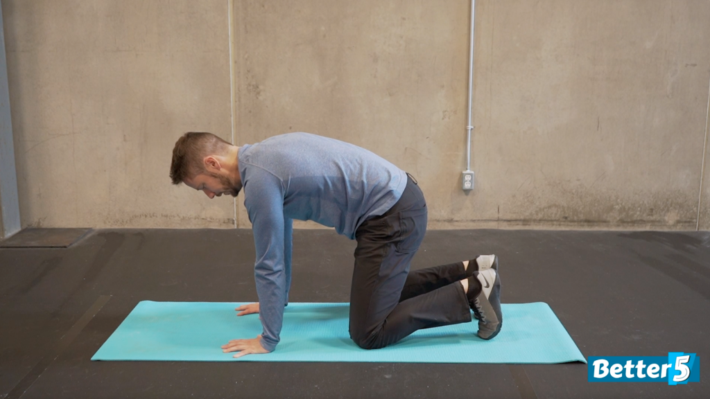 Cat cow exercise - movement 1
