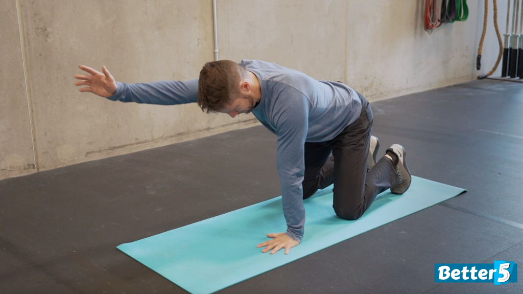 Bird dog exercise - movement 1