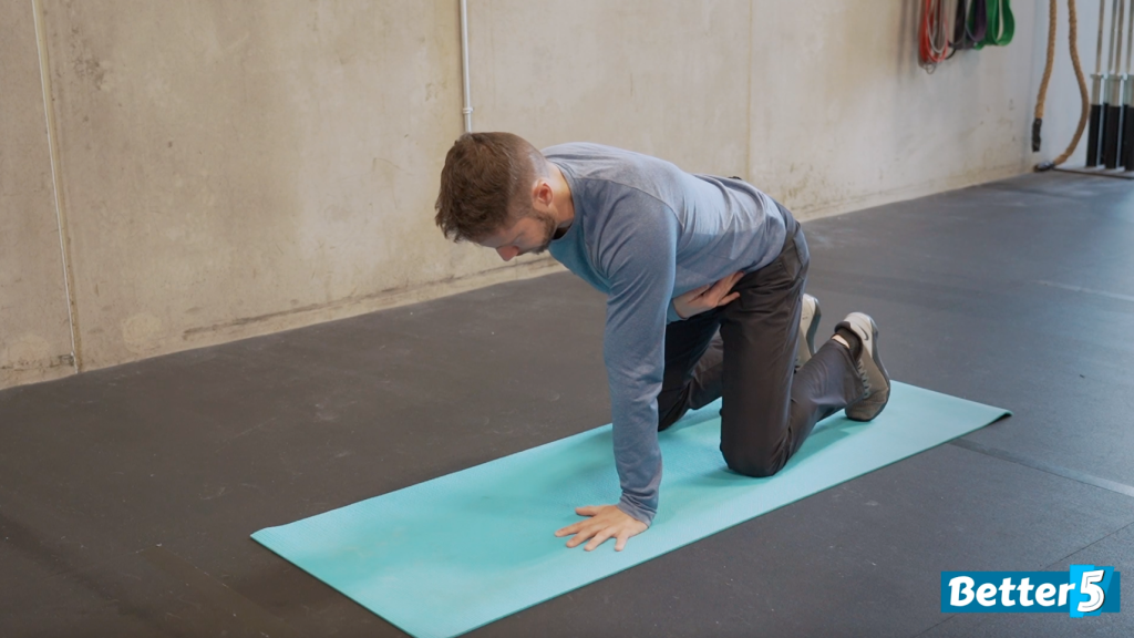 Bird dog exercise - movement 2
