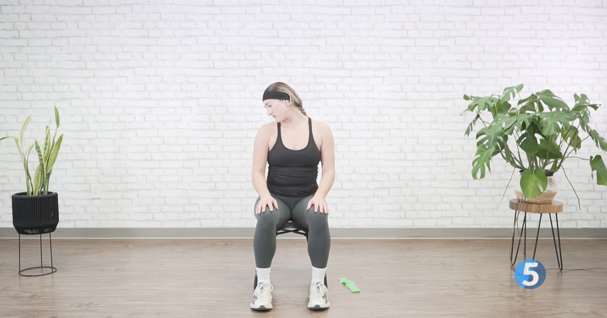 instructor doing seated at home excercise for seniors