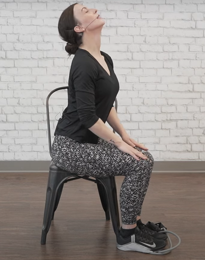 Seated resistance band exercises - cat cow - ending position