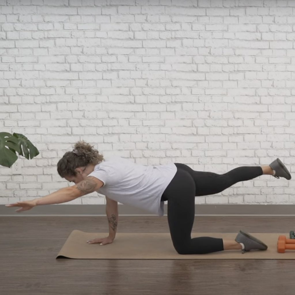 Bird dog exercise
