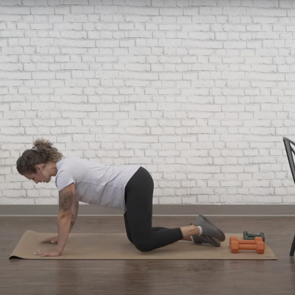 Bird dog exercise
