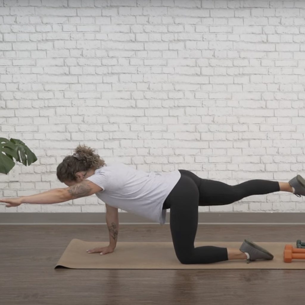 Bird dog exercise