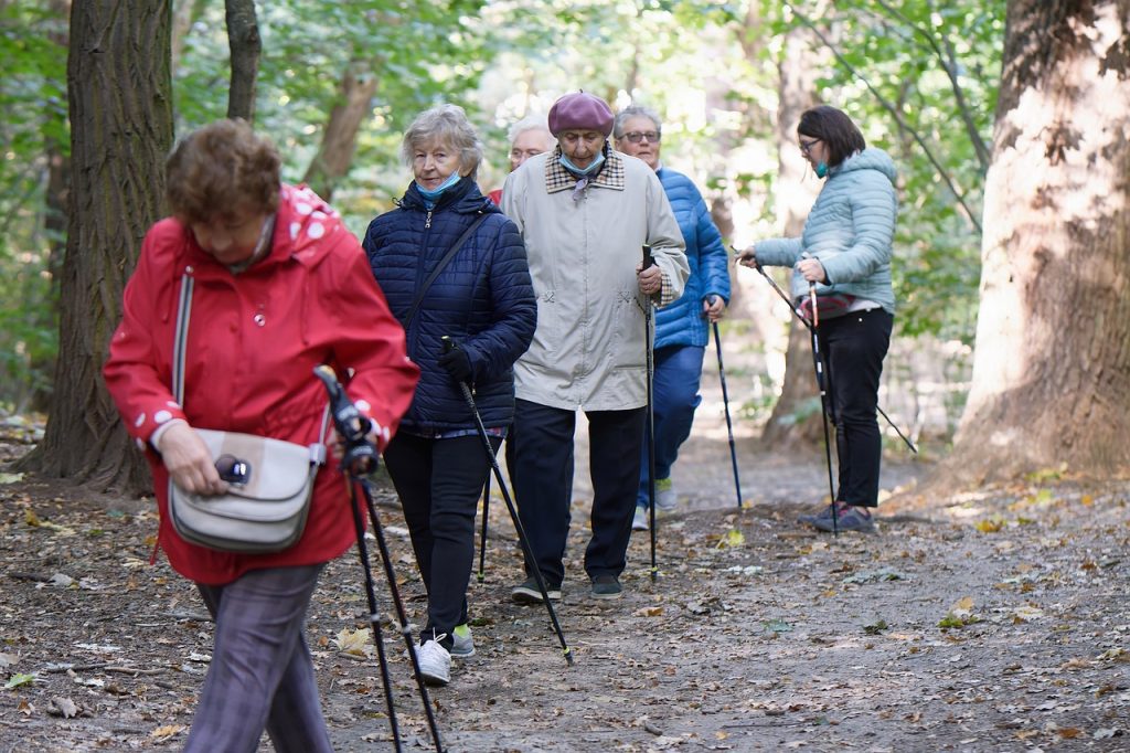 A group of seniors on a hiking trail, showing why outdoor activities can be the best hobby for senior women who enjoy group activities and staying active.